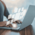 Can You Apostille a Digital Document